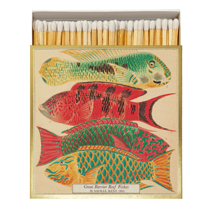Zündhölzer | Fish