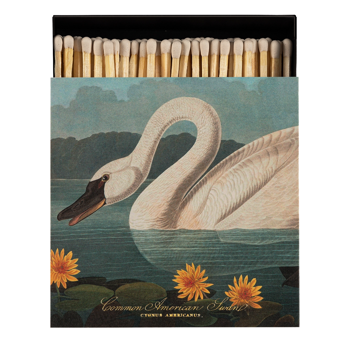 Zündhölzer | Swan